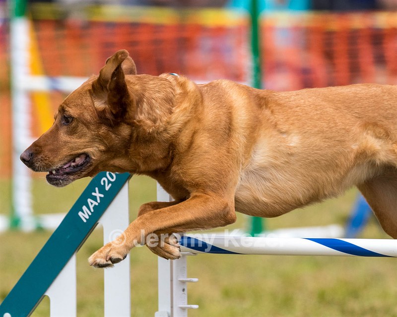 20190616-CCKC-1572.jpg