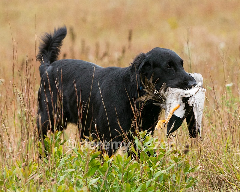 20141004-WCL-0014.jpg