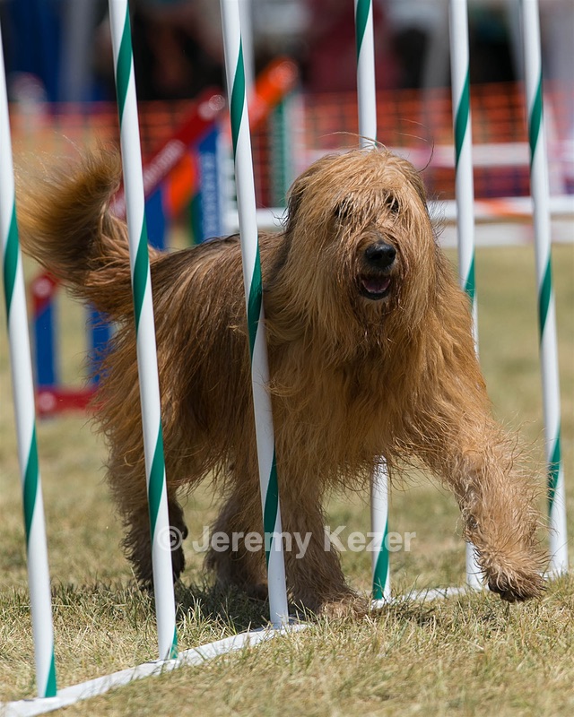 20150614-CCKC-1770.jpg