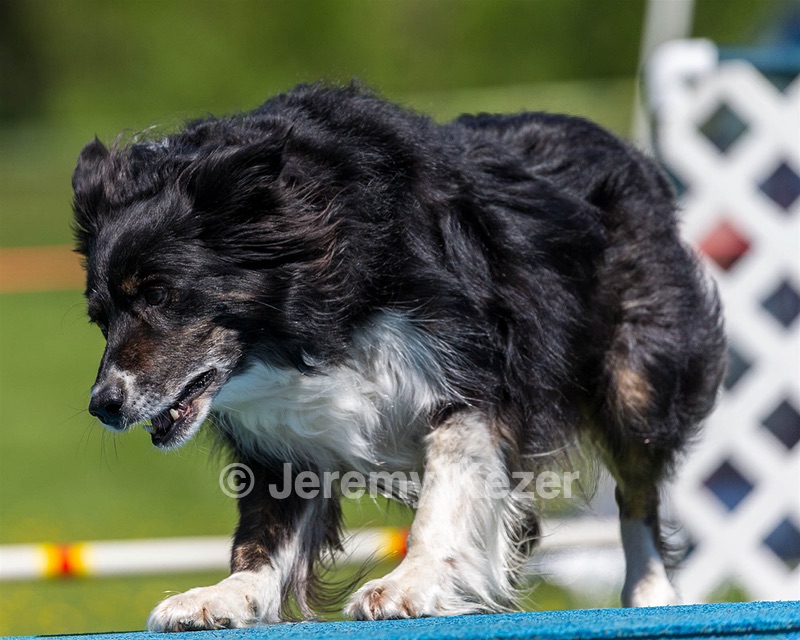 Doc Cody