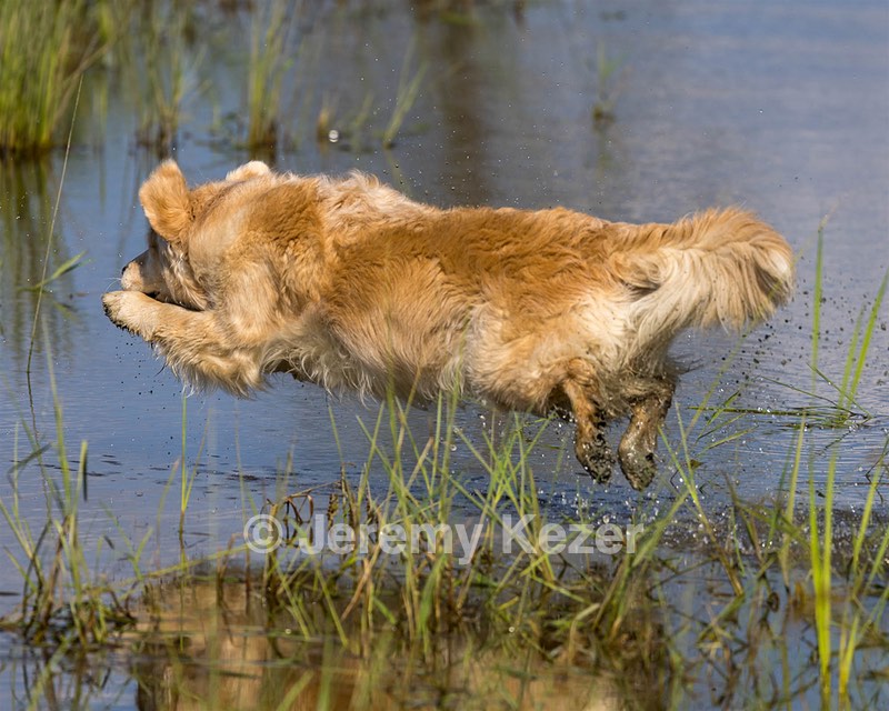 Skeeter Morgan