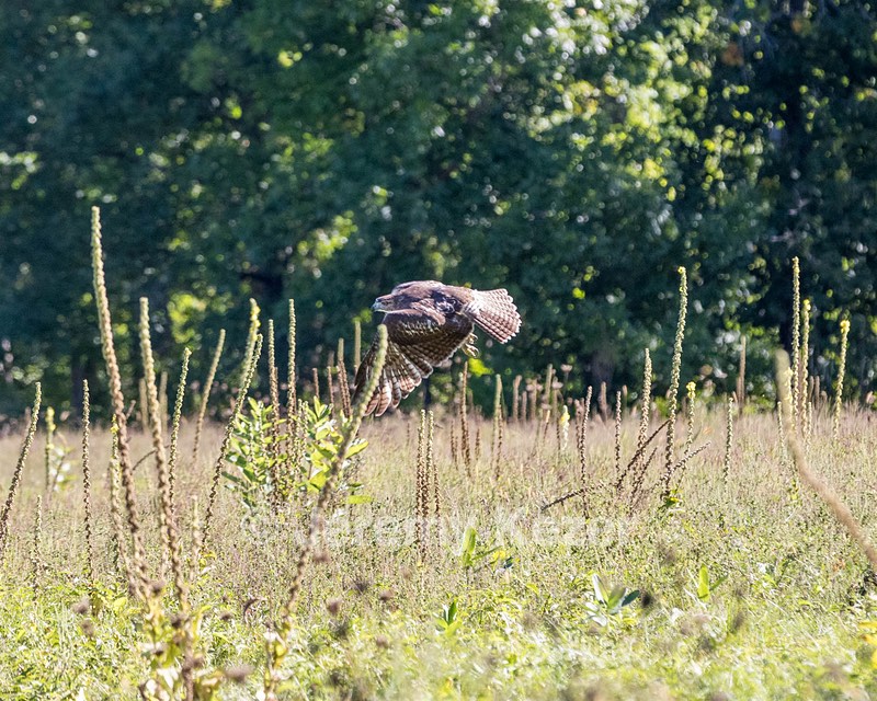 20160925-C-0039.jpg