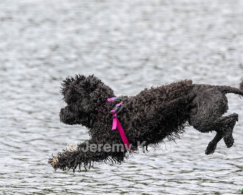 "Mistral" & Tobi-Ann