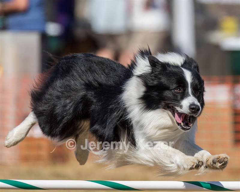 20160619-CCKC-1795.jpg