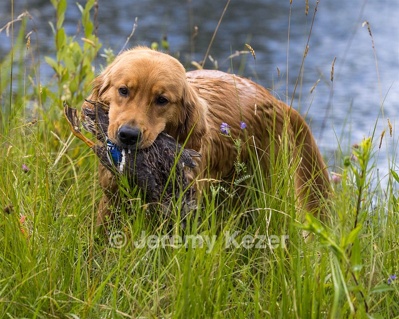 Devon Washburn