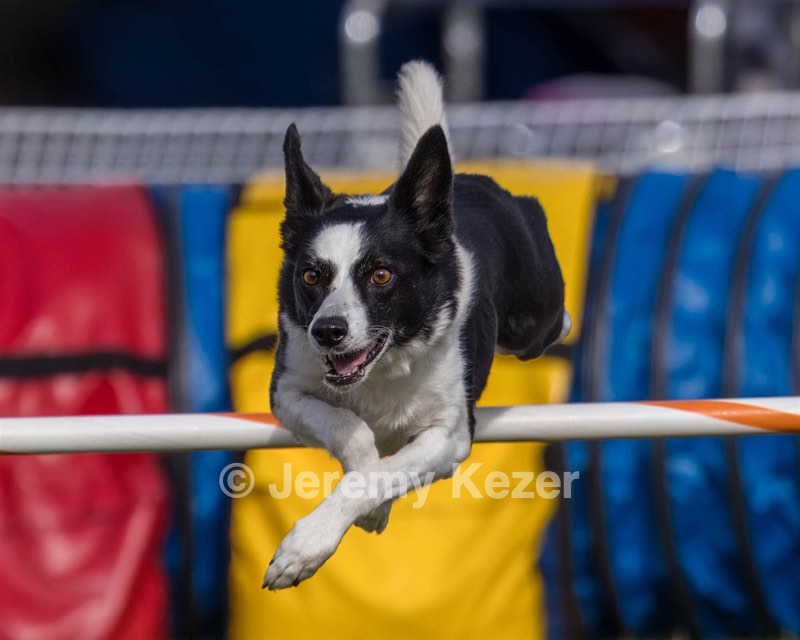 20230916-PVKC-1470.jpg