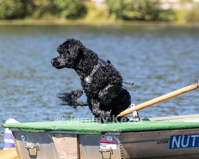 Steel Kathan