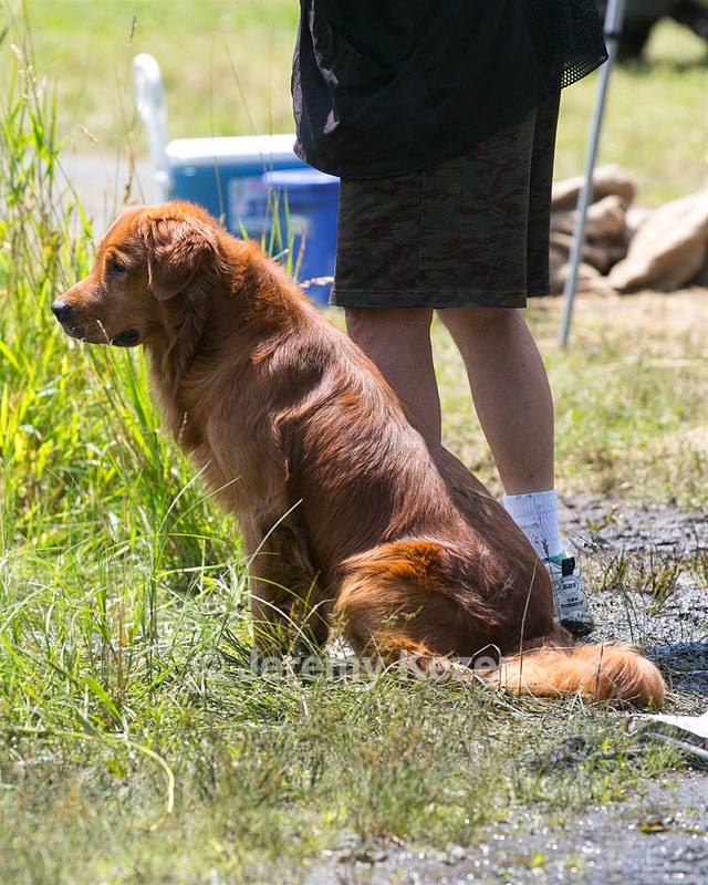 20130714-MHB2-0073.jpg