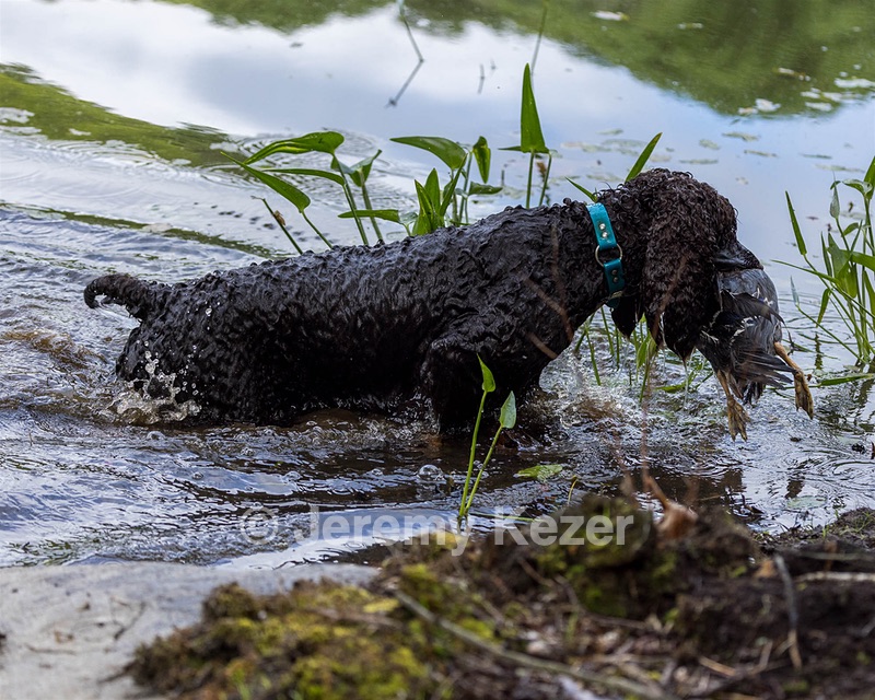 Ghillie Kezer