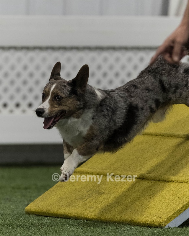 Jack Tripp