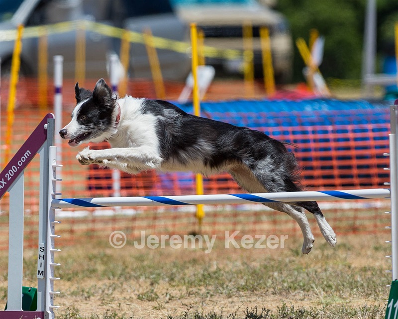 20160619-CCKC-1064.jpg