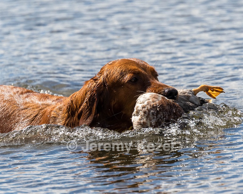 Sioux McKane