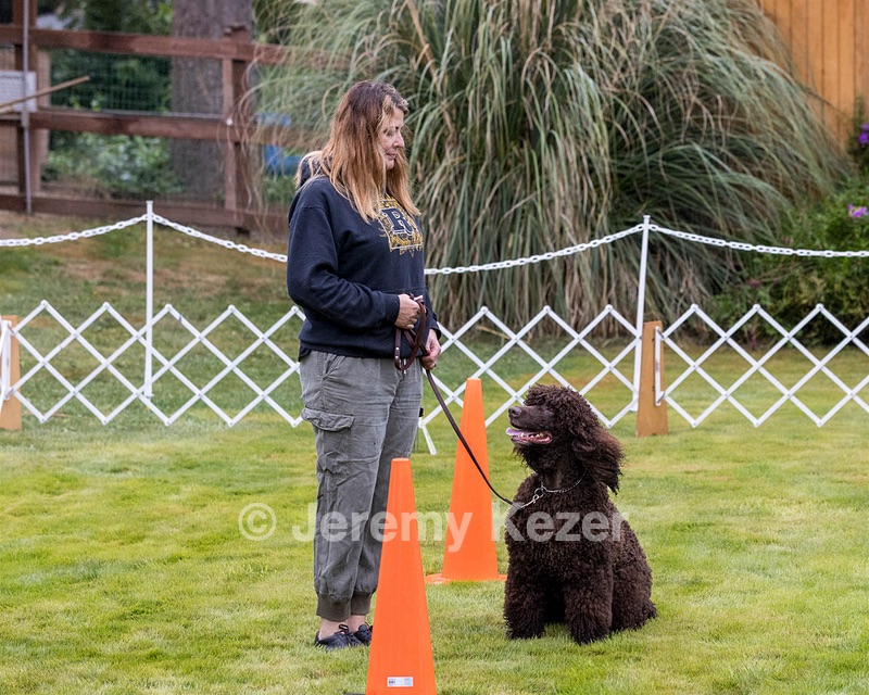 1741 - GCH CH BREKKON'S FIRST MARK CGC