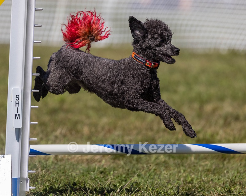 Fly Kearney
