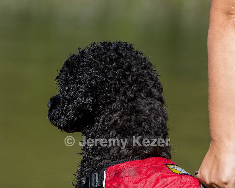 Breeze Holden
