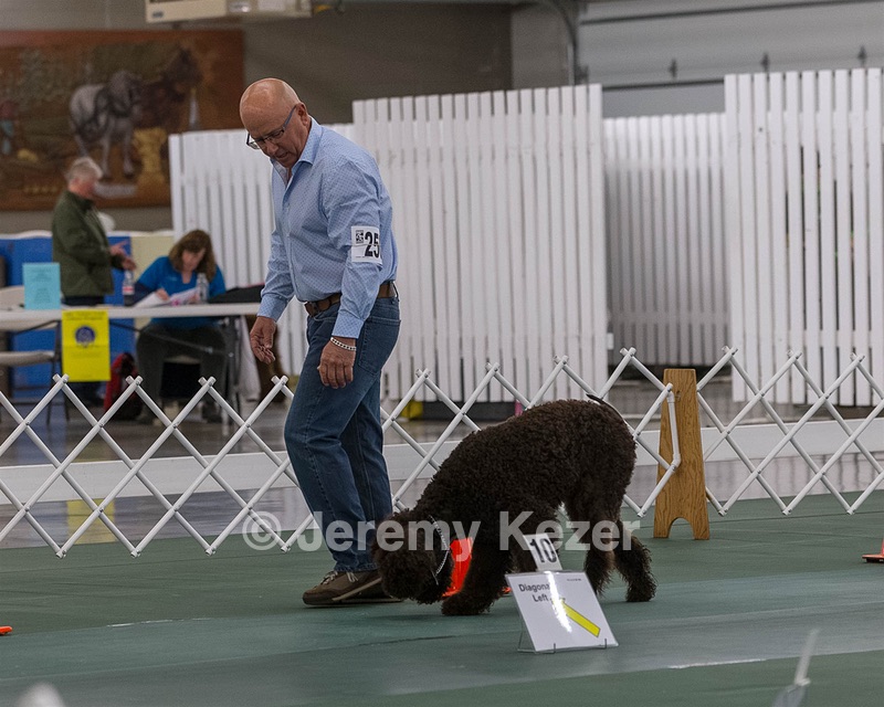 2503 - GCH CH BLACKTHORN'S KEEVA CROMPTON AX AXJ XF RN CGC (Keeva)