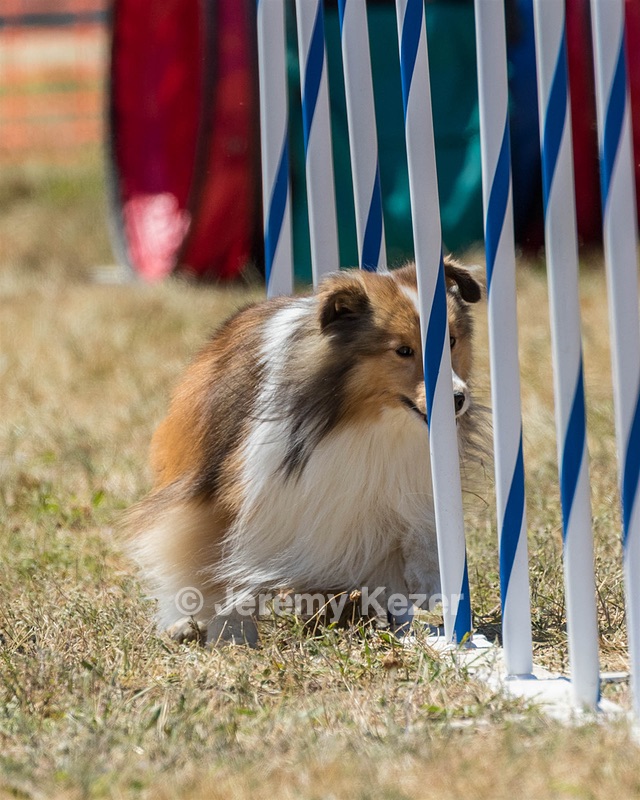 20160618-CCKC-1890.jpg