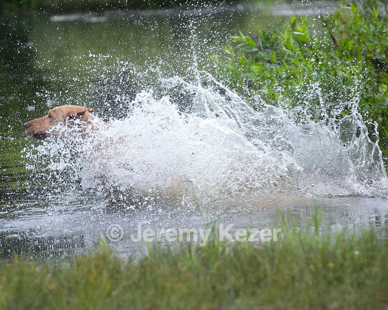 20130713-MHB2-0327.jpg