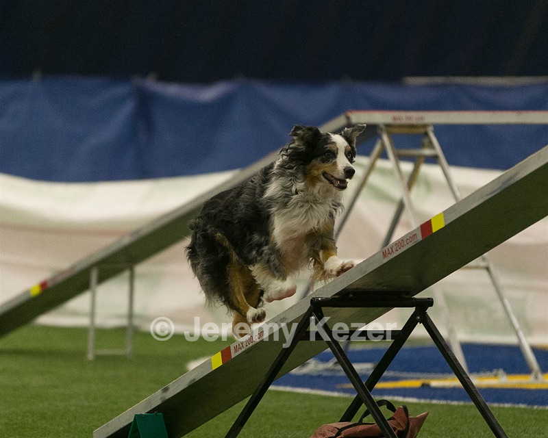 20150321-LEAP-1443.jpg