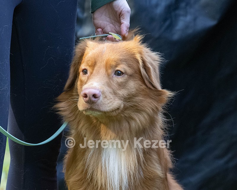 Aero Kurth