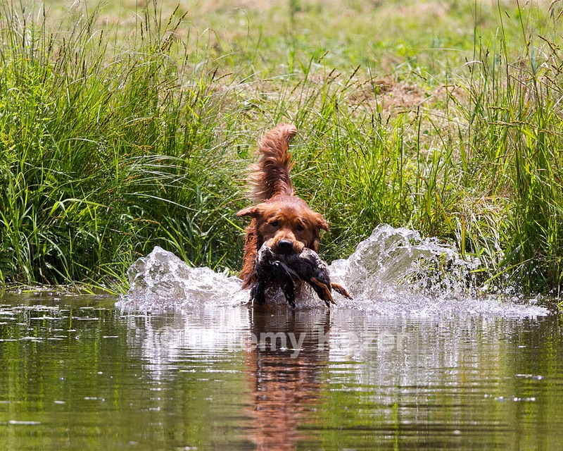 20130714-MHB2-0085.jpg