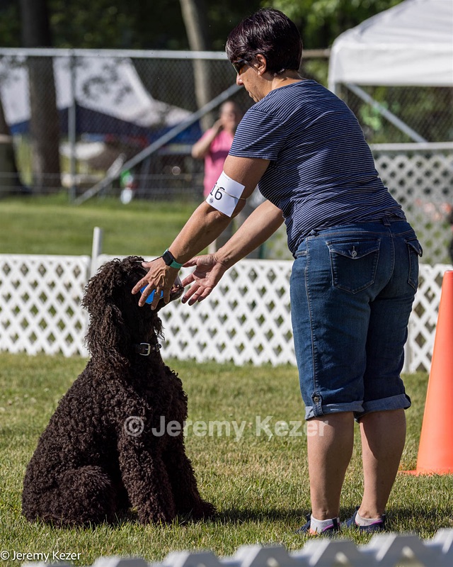16 - GCH CH Chantico's Shelter From The Storm CD RA MX AXJ MXP2 MJP2 MJPB XF DS (Reef)