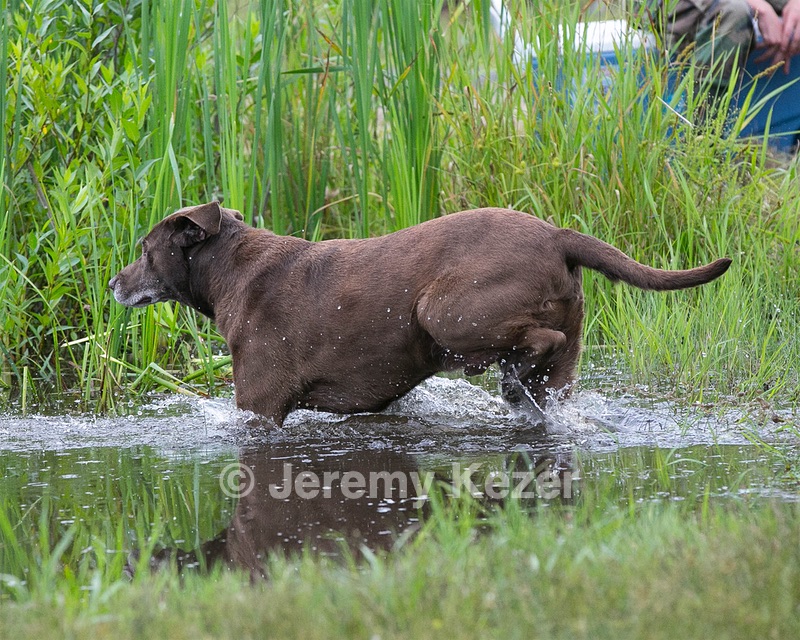 20130713-MHB2-0082.jpg