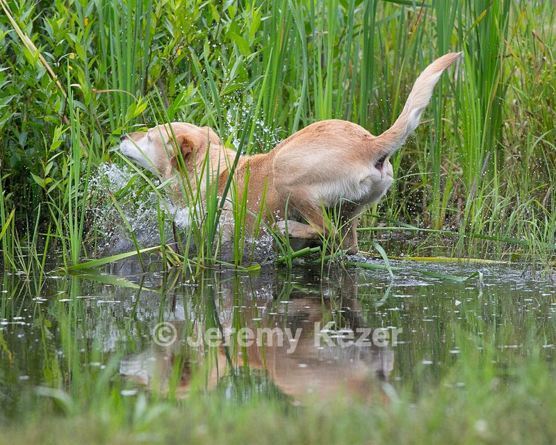 20130713-MHB2-0017.jpg
