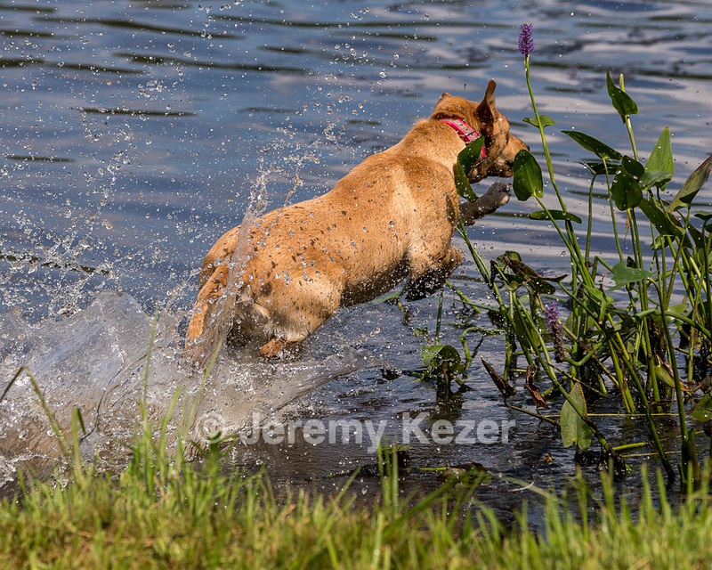 Penny Adsitt-Hager
