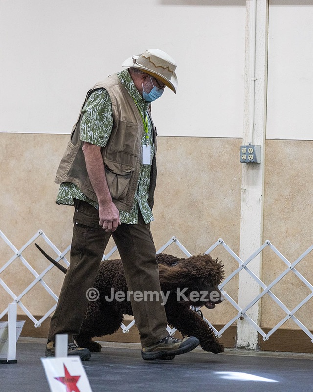 2401 - CAT'S' RUSTY CHARLIE RI CGC TKA