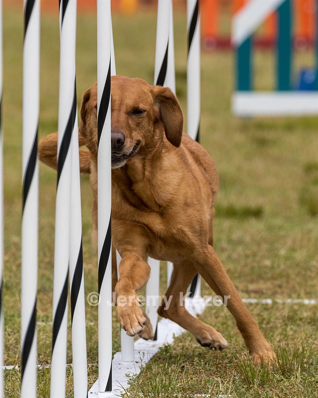 20190616-CCKC-1574.jpg