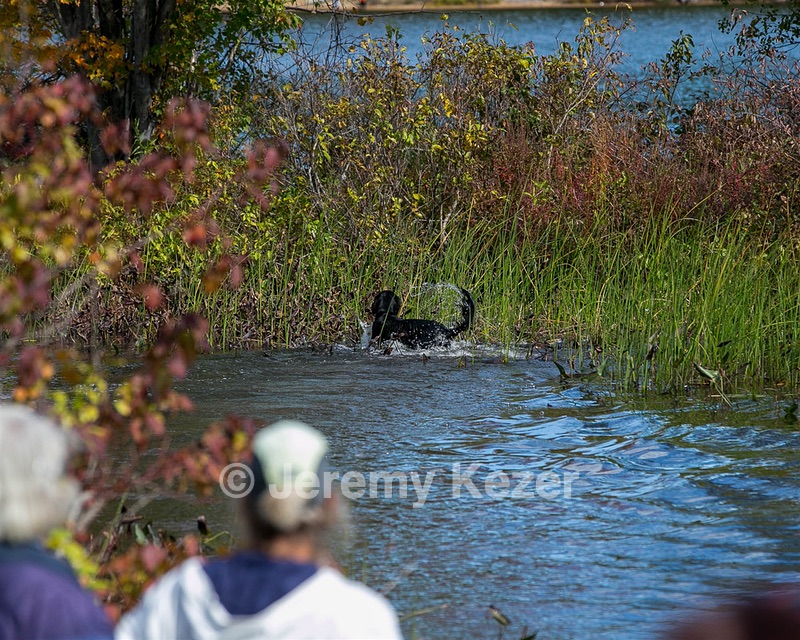 20151010-WCXW-0002.jpg
