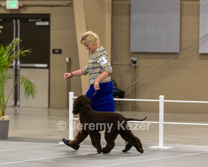 14 - Kendall’s Anyone Can Whistle TKN (Betty)