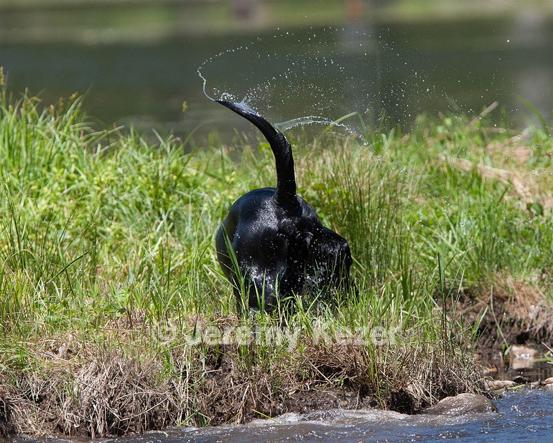 20130602-SEAW-0369.jpg