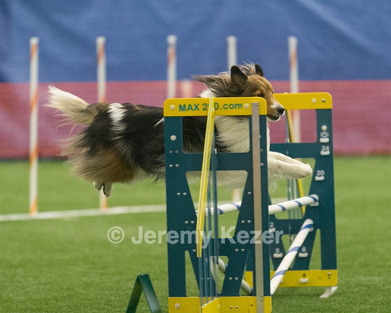 20150321-LEAP-1376.jpg