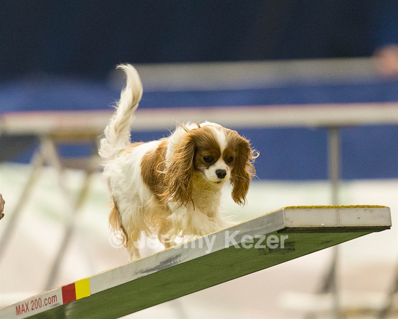 20150321-LEAP-1639.jpg