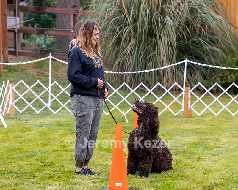 1741 - GCH CH BREKKON'S FIRST MARK CGC