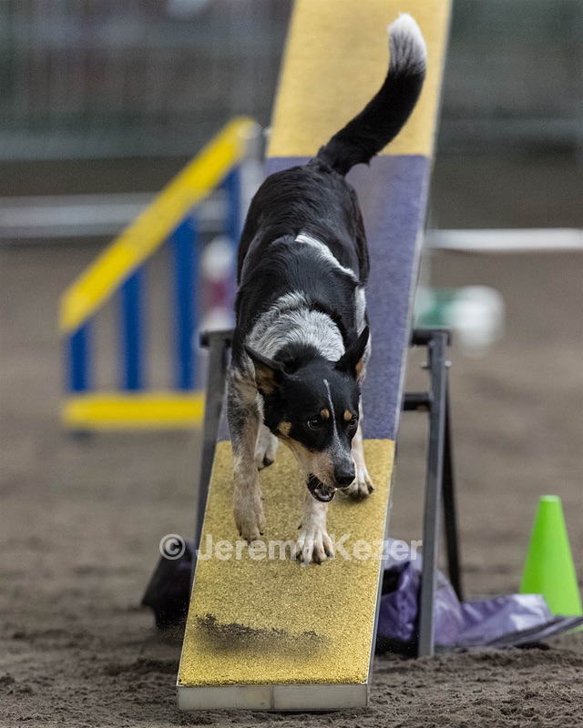 Margo Langham