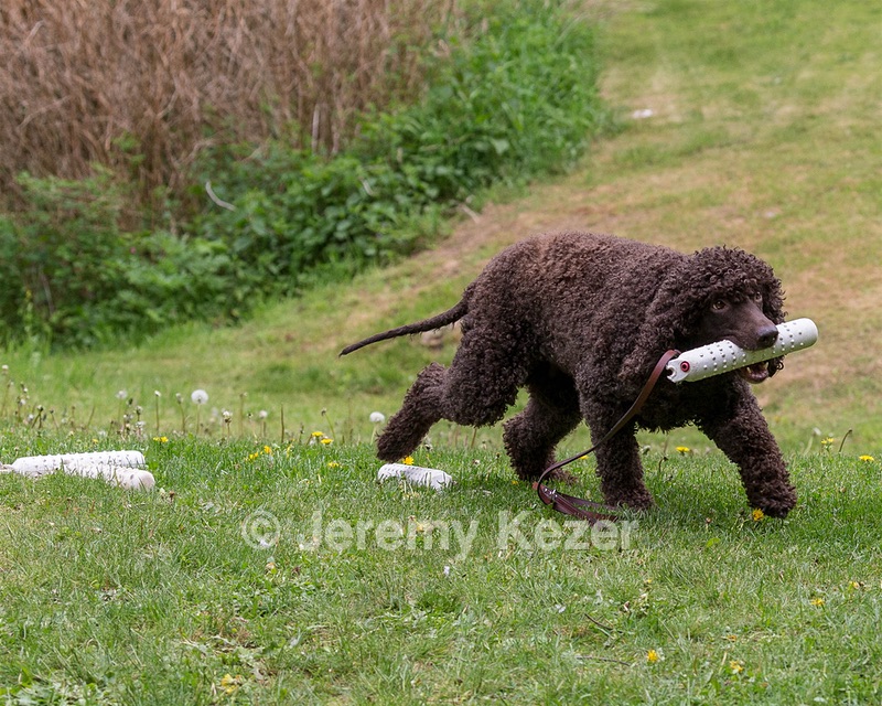 20190512-BD-0158.jpg