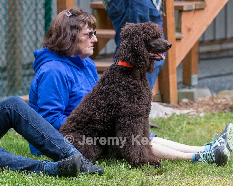 20190512-BD-0143.jpg
