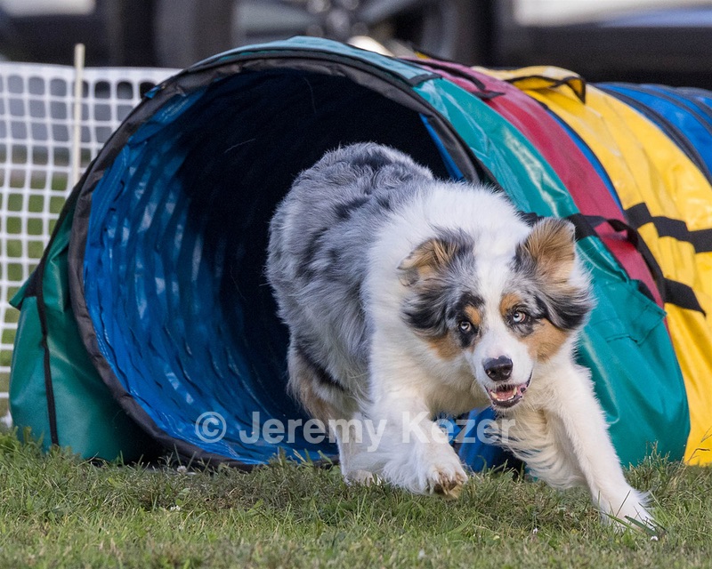20230916-PVKC-1721.jpg
