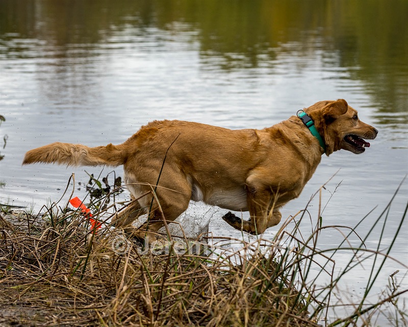 Finn OKeefe