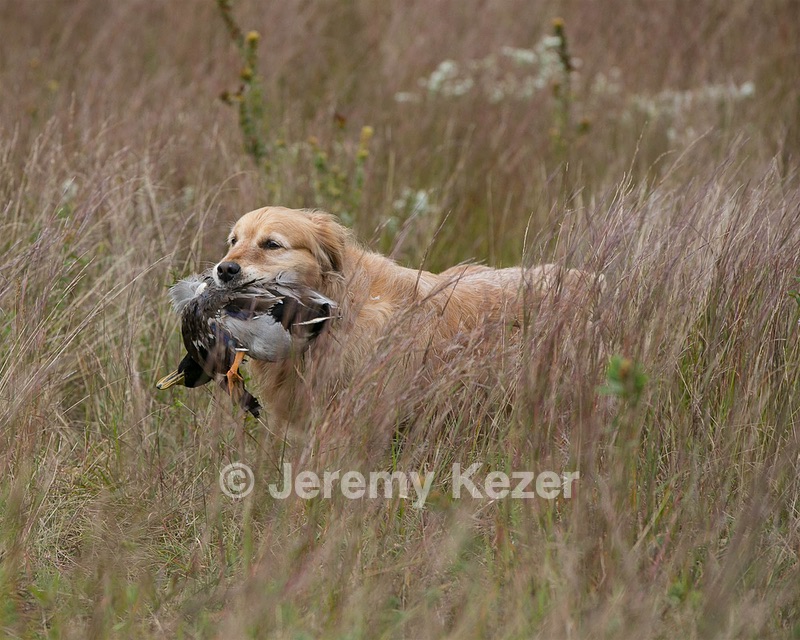 20130921-WCL-0009.jpg