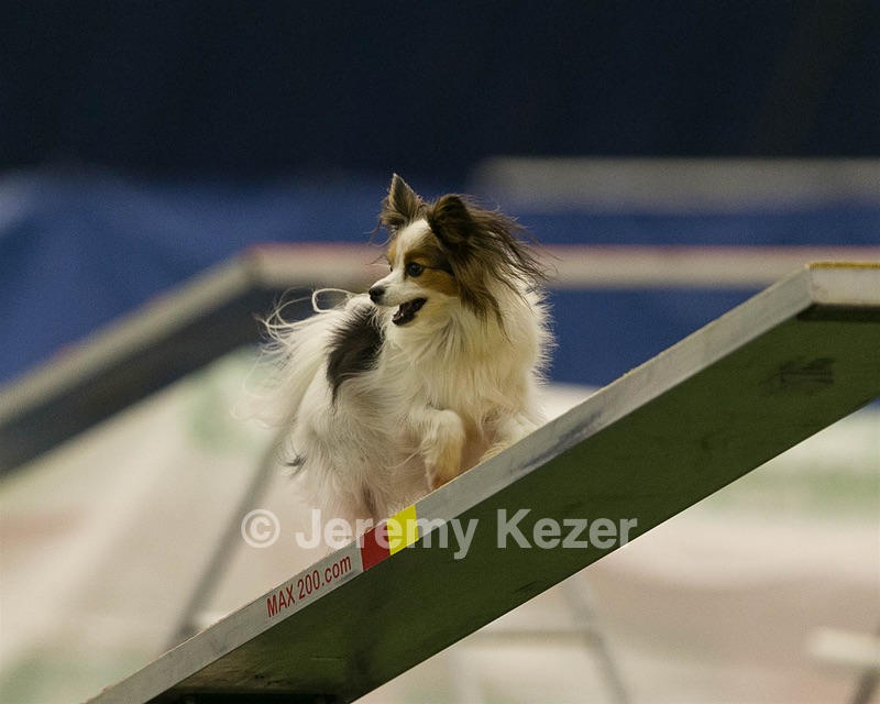 20150321-LEAP-1645.jpg