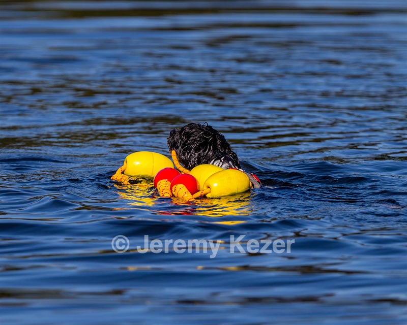 "Bindi" and Kris