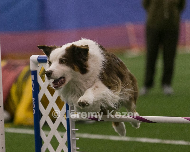 20150321-LEAP-0305.jpg