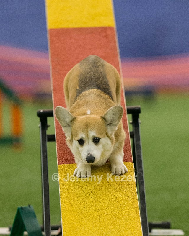 20150321-LEAP-1799.jpg