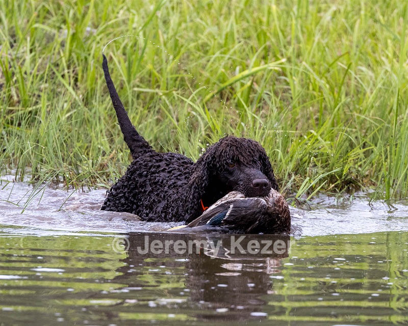 Ghillie Kezer