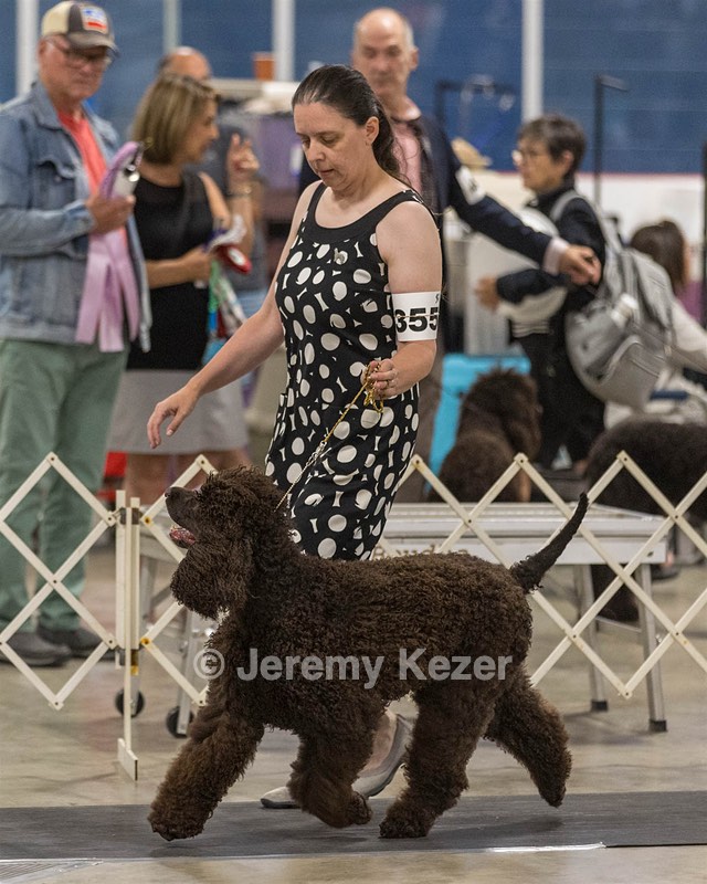 355 - GCH Ildanoch's Party Rock Anthem