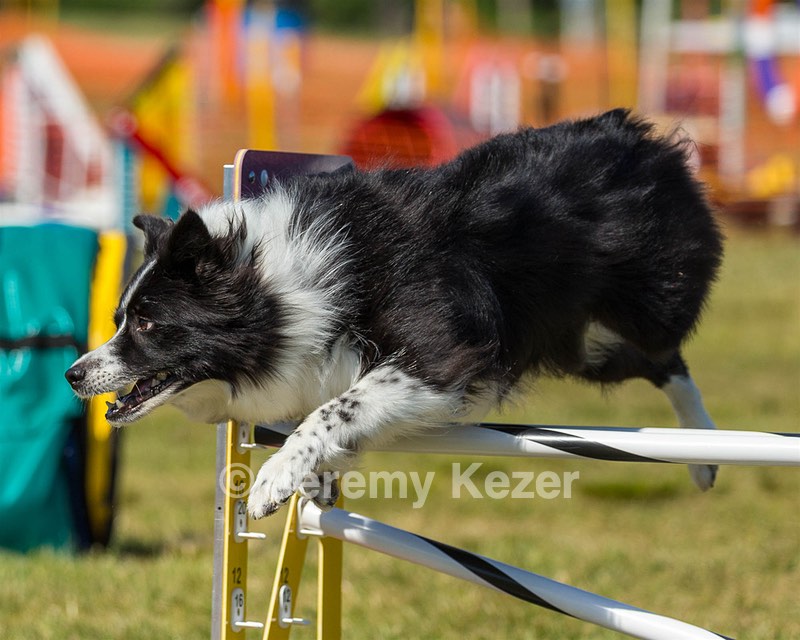 20180617-1658.jpg